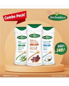 Ayurvedic Medicine Shampoo (Bundle) – (3 x 100ml)