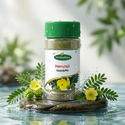 Nerunjil Chooranam Powder