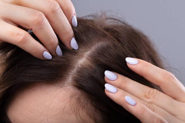 istockphoto-1072409804-612x612.jpg