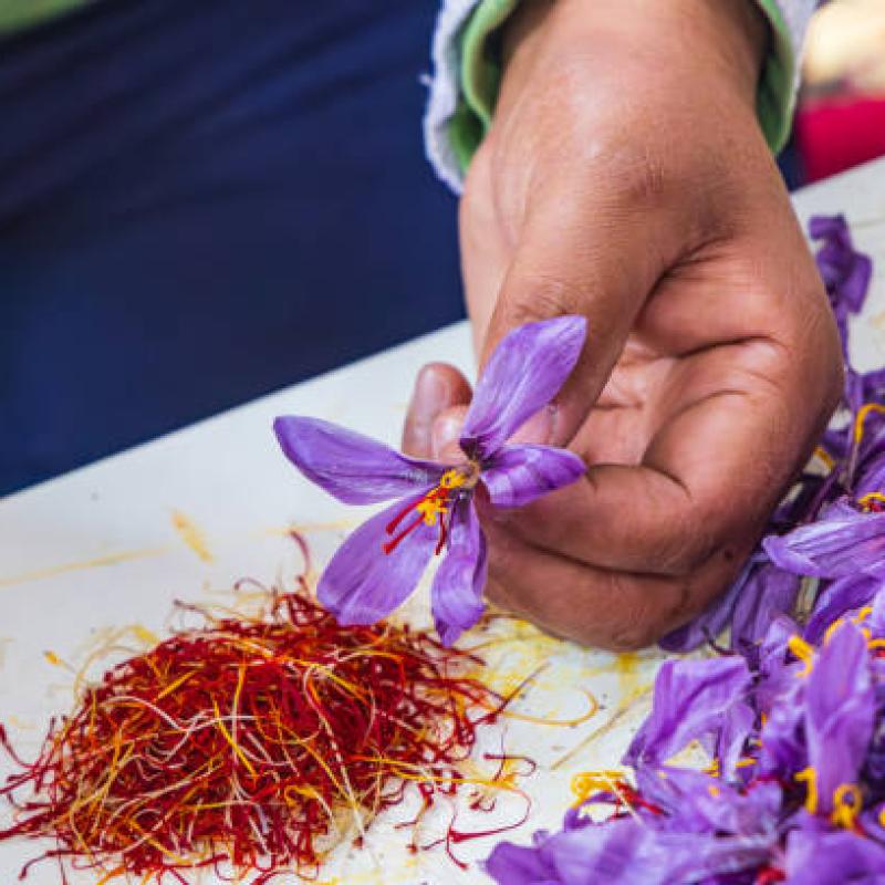 Reasons Why Kumkumadi Soap is the Must-Have Beauty Product of 2025
