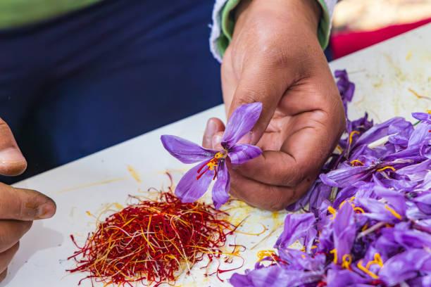 Reasons Why Kumkumadi Soap is the Must-Have Beauty Product of 2025