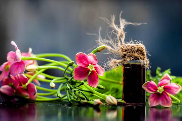 istockphoto-986750938-612x612.jpg